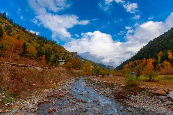 Türkiye 'nin Kastamonu kentindeki Kure Dağları' nın yamaçlarındaki manzara güzel sonbahar doğası