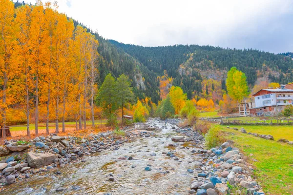 Türkiye 'nin Kastamonu kentindeki Kure Dağları' nın yamaçlarındaki manzara güzel sonbahar doğası