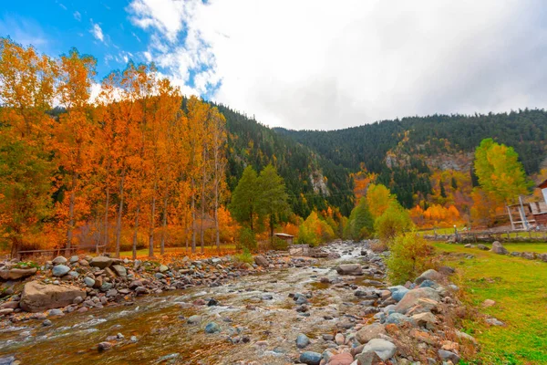 Türkiye 'nin Kastamonu kentindeki Kure Dağları' nın yamaçlarındaki manzara güzel sonbahar doğası