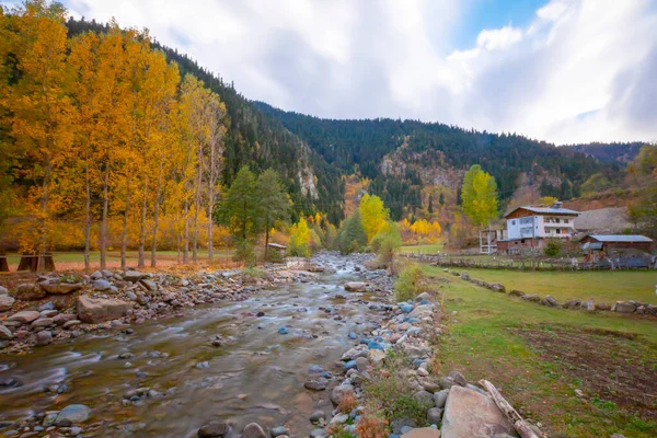 Türkiye 'nin Kastamonu kentindeki Kure Dağları' nın yamaçlarındaki manzara güzel sonbahar doğası