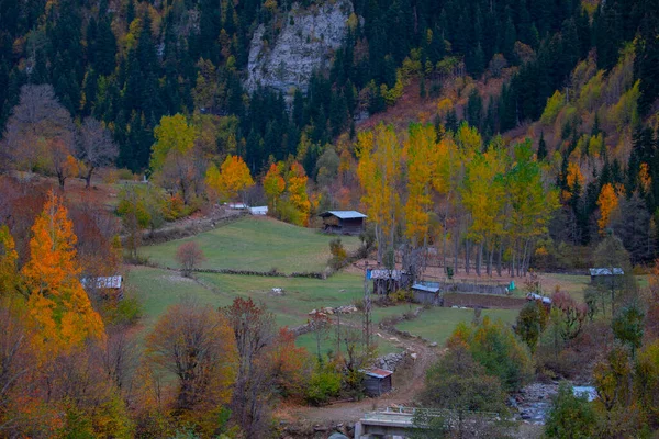 Savsat Türkiye 'de sonbahar renkleri