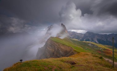 Seceda zirvesinde harika bir manzara. Trentino Alto Adige, Dolomites Alps, Güney Tyrol, İtalya, Avrupa. Odle dağ sırası, Val Gardena. Majestic Furchetta zirvesi. Sabah güneşinde mor çiçekler.