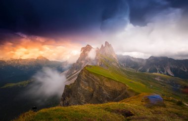 Seceda zirvesinde harika bir manzara. Trentino Alto Adige, Dolomites Alps, Güney Tyrol, İtalya, Avrupa. Odle dağ sırası, Val Gardena. Majestic Furchetta zirvesi. Sabah güneşinde mor çiçekler.