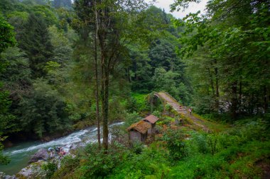 Gizli bir yere gizlenmiş güzel bir taş köprü..