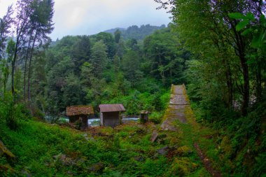 Gizli bir yere gizlenmiş güzel bir taş köprü..