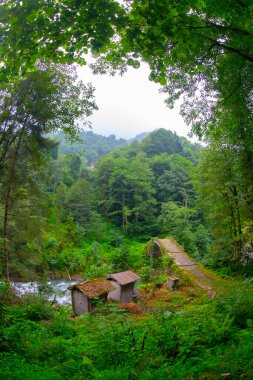 Gizli bir yere gizlenmiş güzel bir taş köprü..