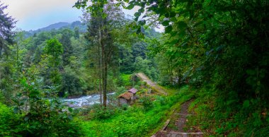 Gizli bir yere gizlenmiş güzel bir taş köprü..