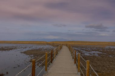 Güzel manzara ve Erciyes Dağı 'nın yanındaki Sultan Bataklıkları (kuş cenneti), Kayseri