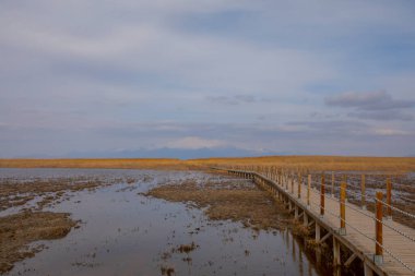 Güzel manzara ve Erciyes Dağı 'nın yanındaki Sultan Bataklıkları (kuş cenneti), Kayseri