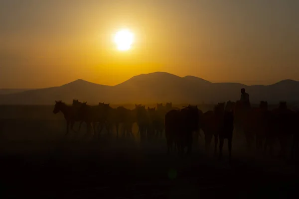 Sun rays leaking from dust of wild horses. Near Hormetci Village, between Cappadocia and Kayseri, Turkey