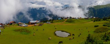 BADARA PLATEAU in Rize, Turkey. This plateau located in Camlihemsin district of Rize province. Kackar Mountains region.