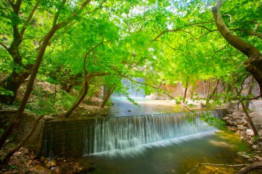 Paleokarya, eski, taş, iki şelaleler arasında köprü kemerli. Tırhala ili, Thessaly, Yunanistan
