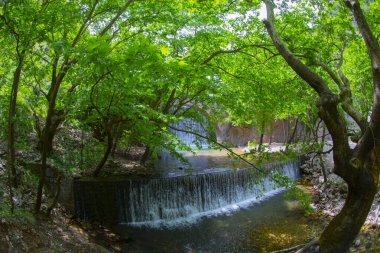 Paleokarya, eski, taş, iki şelaleler arasında köprü kemerli. Tırhala ili, Thessaly, Yunanistan