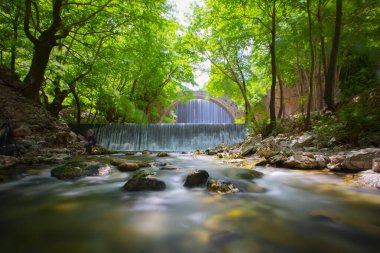 Paleokarya, eski, taş, iki şelaleler arasında köprü kemerli. Tırhala ili, Thessaly, Yunanistan