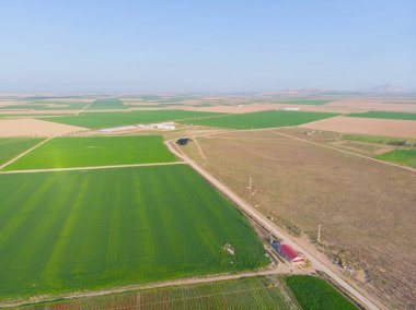 Aerial color images of tulip fields