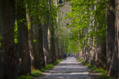 Vrelo Bosne is a park located in the municipality of Ilica, Bosnia and Herzegovina. The park is located at the foot of Mount Igman and is one of the most popular natural destinations in the country.