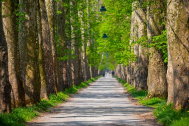 Vrelo Bosne is a park located in the municipality of Ilica, Bosnia and Herzegovina. The park is located at the foot of Mount Igman and is one of the most popular natural destinations in the country.