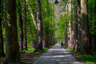 Vrelo Bosne is a park located in the municipality of Ilica, Bosnia and Herzegovina. The park is located at the foot of Mount Igman and is one of the most popular natural destinations in the country.