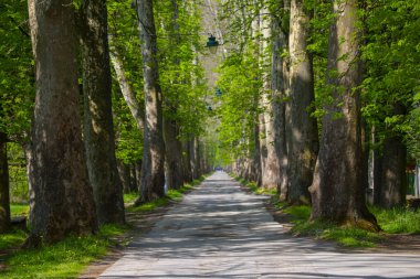 Vrelo Bosne is a park located in the municipality of Ilica, Bosnia and Herzegovina. The park is located at the foot of Mount Igman and is one of the most popular natural destinations in the country.