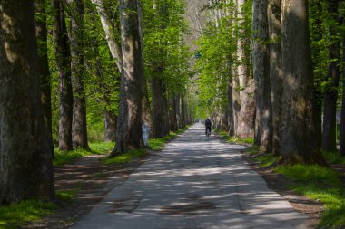 Vrelo Bosne is a park located in the municipality of Ilica, Bosnia and Herzegovina. The park is located at the foot of Mount Igman and is one of the most popular natural destinations in the country.