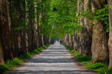 Vrelo Bosne is a park located in the municipality of Ilica, Bosnia and Herzegovina. The park is located at the foot of Mount Igman and is one of the most popular natural destinations in the country.