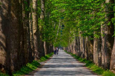 Vrelo Bosne is a park located in the municipality of Ilica, Bosnia and Herzegovina. The park is located at the foot of Mount Igman and is one of the most popular natural destinations in the country.