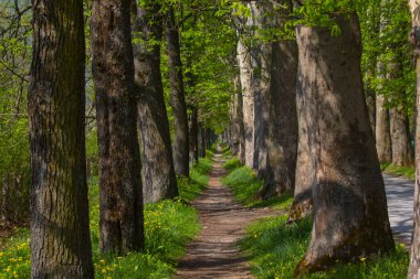 Vrelo Bosne is a park located in the municipality of Ilica, Bosnia and Herzegovina. The park is located at the foot of Mount Igman and is one of the most popular natural destinations in the country.