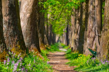 Vrelo Bosne is a park located in the municipality of Ilica, Bosnia and Herzegovina. The park is located at the foot of Mount Igman and is one of the most popular natural destinations in the country.
