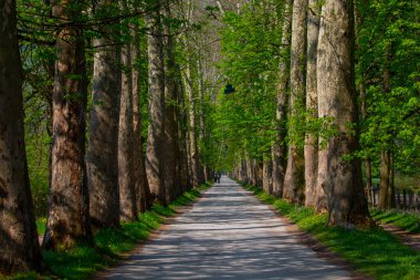 Vrelo Bosne is a park located in the municipality of Ilica, Bosnia and Herzegovina. The park is located at the foot of Mount Igman and is one of the most popular natural destinations in the country.
