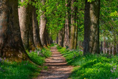 Vrelo Bosne is a park located in the municipality of Ilica, Bosnia and Herzegovina. The park is located at the foot of Mount Igman and is one of the most popular natural destinations in the country.