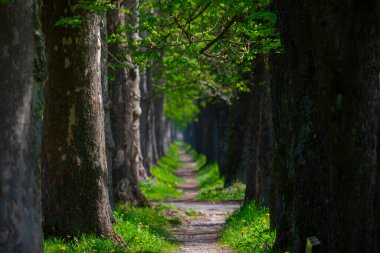 Vrelo Bosne is a park located in the municipality of Ilica, Bosnia and Herzegovina. The park is located at the foot of Mount Igman and is one of the most popular natural destinations in the country.