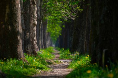 Vrelo Bosne is a park located in the municipality of Ilica, Bosnia and Herzegovina. The park is located at the foot of Mount Igman and is one of the most popular natural destinations in the country.