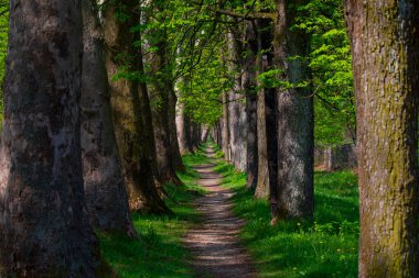 Vrelo Bosne is a park located in the municipality of Ilica, Bosnia and Herzegovina. The park is located at the foot of Mount Igman and is one of the most popular natural destinations in the country.