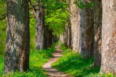 Vrelo Bosne is a park located in the municipality of Ilica, Bosnia and Herzegovina. The park is located at the foot of Mount Igman and is one of the most popular natural destinations in the country.