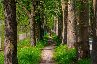 Vrelo Bosne is a park located in the municipality of Ilica, Bosnia and Herzegovina. The park is located at the foot of Mount Igman and is one of the most popular natural destinations in the country.