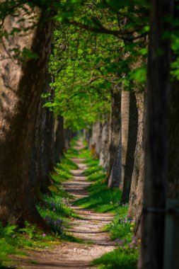Vrelo Bosne is a park located in the municipality of Ilica, Bosnia and Herzegovina. The park is located at the foot of Mount Igman and is one of the most popular natural destinations in the country.