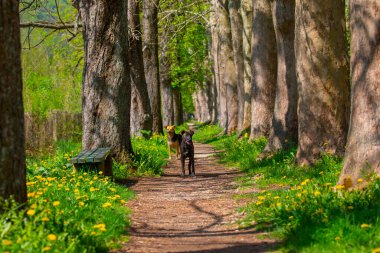 Vrelo Bosne is a park located in the municipality of Ilica, Bosnia and Herzegovina. The park is located at the foot of Mount Igman and is one of the most popular natural destinations in the country.