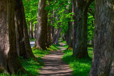 Vrelo Bosne is a park located in the municipality of Ilica, Bosnia and Herzegovina. The park is located at the foot of Mount Igman and is one of the most popular natural destinations in the country.