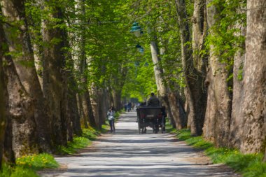 Vrelo Bosne is a park located in the municipality of Ilica, Bosnia and Herzegovina. The park is located at the foot of Mount Igman and is one of the most popular natural destinations in the country.