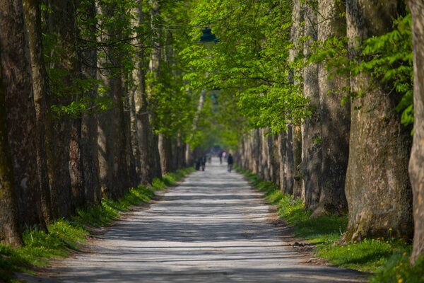 Vrelo Bosne is a park located in the municipality of Ilica, Bosnia and Herzegovina. The park is located at the foot of Mount Igman and is one of the most popular natural destinations in the country.