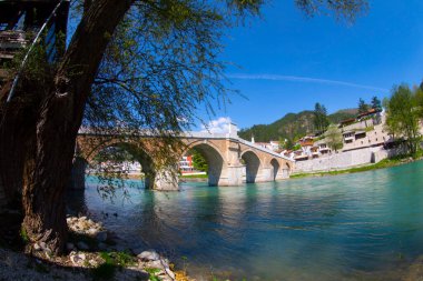 The main alley of plane trees in Vrelo Bosne Park in Sarajevo