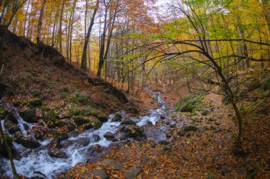 Yedigoller Milli Parkı 'ndaki Şelale, Bolu Kenti, Türkiye