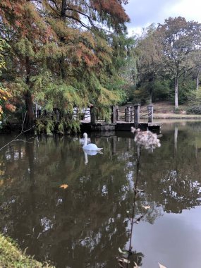 Yldz Park is a historical park located in Beiktas District of Istanbul.