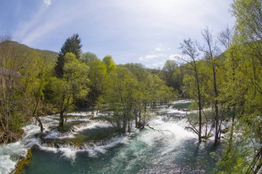 Martin Brod 'un Şelaleleri Una Ulusal Parkı, Bosna-Hersek' te