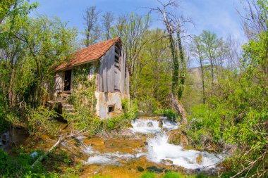 Martin Brod 'un Şelaleleri Una Ulusal Parkı, Bosna-Hersek' te