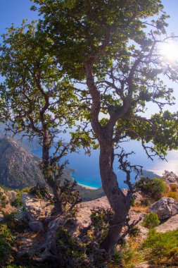 Noon hours on the lush, rugged mountainous coastline near Fethiye and Butterfly Valley, (yediburunlar bay) Turkey