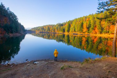 Bilecik Türkiye 'de Bozcaarmut Gölü