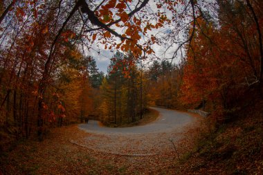 Yedigoller or Seven Lakes National Park in Turkey