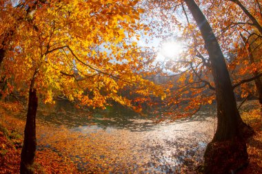 Yedigoller or Seven Lakes National Park in Turkey