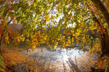 Yedigoller or Seven Lakes National Park in Turkey